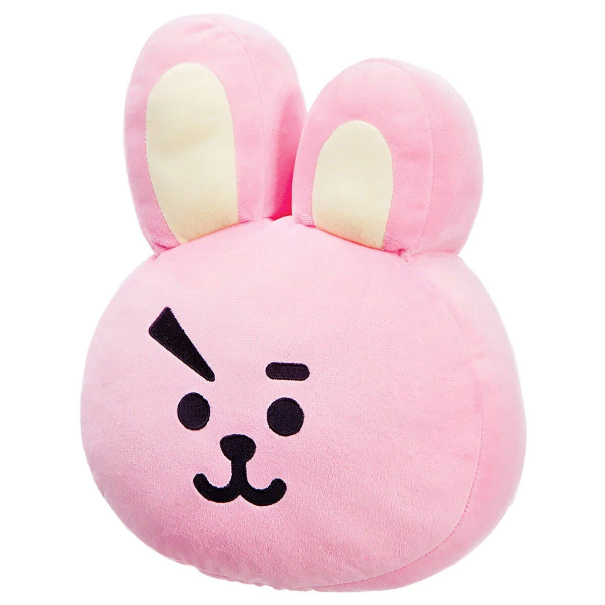 BT21 CUSHION COOKY