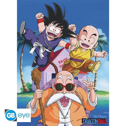 DRAGON BALL Poster Kame Team (52x38cm)